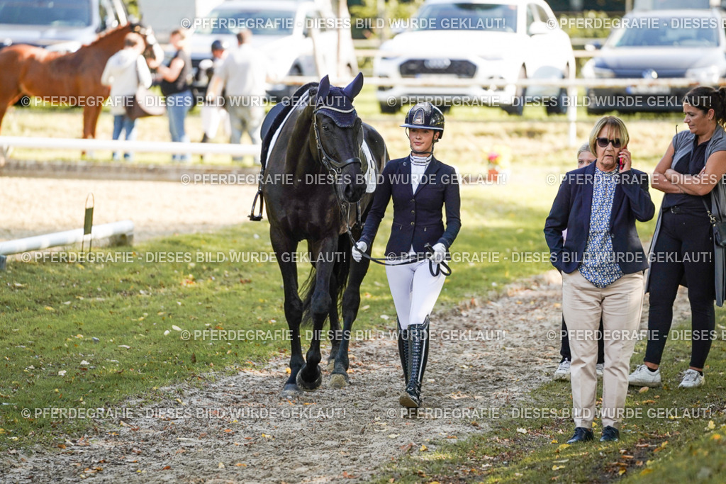 DSC06616 | Pferdegrafie