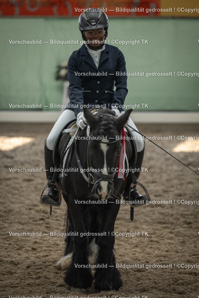 _D5A5851 | Emotionale Pferde- & People-Fotografie rund um Heidelberg, Leimen & Umgebung. Natürliche Fotos von Pferd, Mensch & Familie. Jetzt Termin sichern!