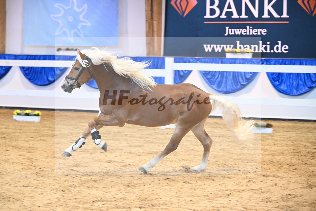 Kat-Nr. 28 Napoleon v. Nakuri_Lechner_60220440 | hf-fotografie - Realisiert mit Pictrs.com