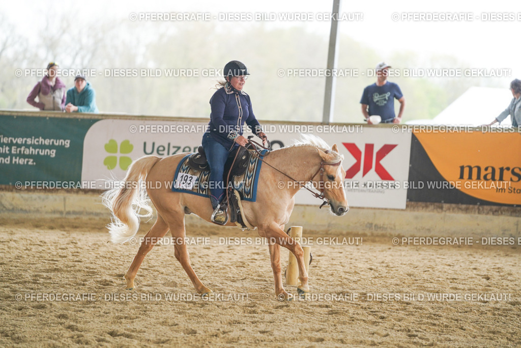 DSC06431 | Pferdegrafie