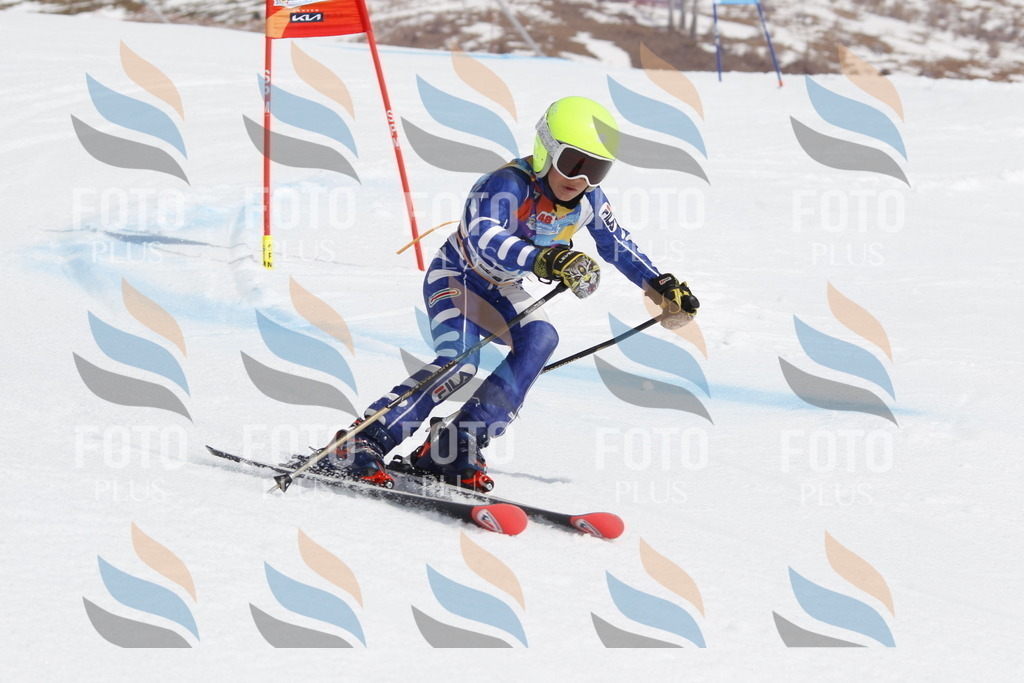 _U3G1974 | holidayphoto