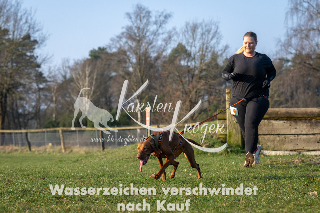 _ZZ91243 | kk-dogfotos