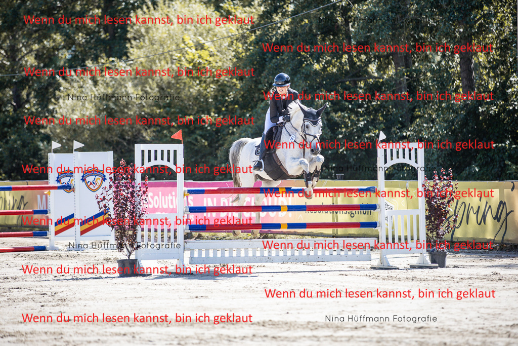BK1A6793 | Turnierbilder Turnierfotos Nina Hüffmann Turnierfotografie Pferdefotografie Tierzeichnung Haustierzeichnung Pferdezeichnung Hundezeichnung Videograf  - Realisiert mit Pictrs.com