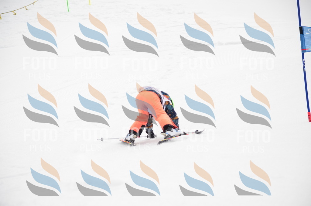 B9795 | holidayphoto