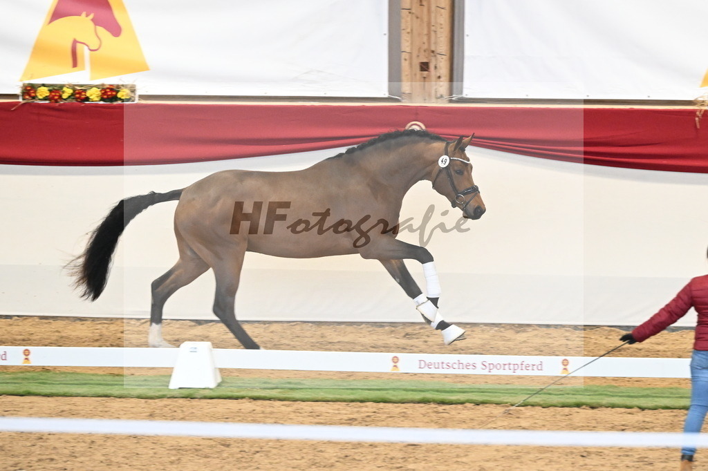 Kat.-Nr. 49 v. Fabletic_Bernadotte_ Voigtländer und Dimer_3260460 | hf-fotografie - Realizzato con Pictrs.com