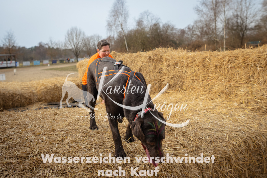 1051_ZZ90407 | kk-dogfotos