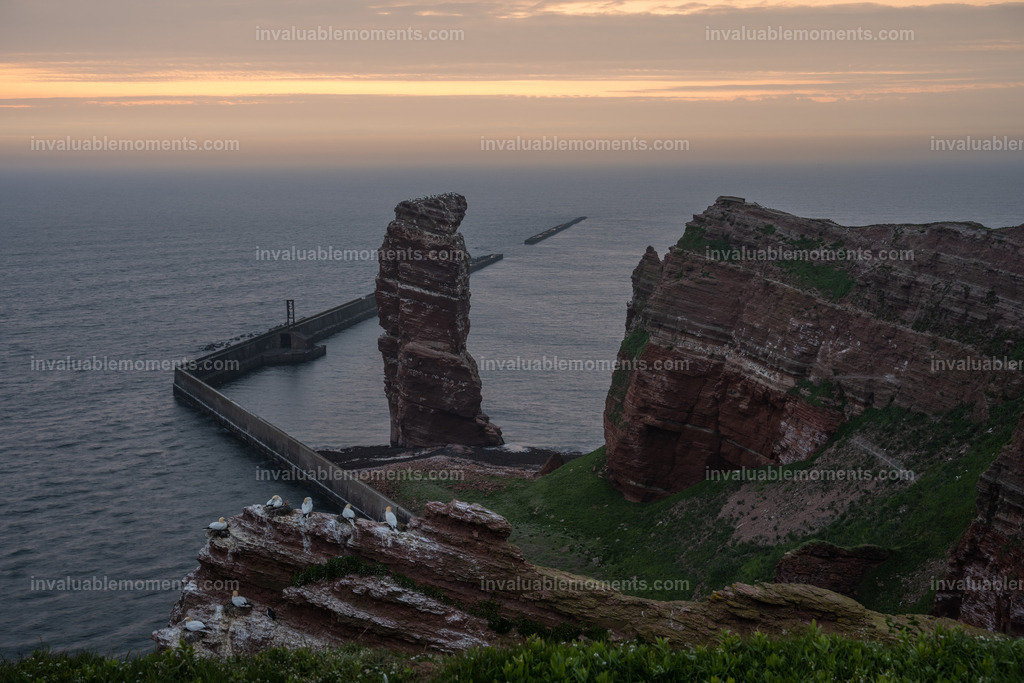 DSC_5827 | invaluablemoments.com - Realisiert mit Pictrs.com