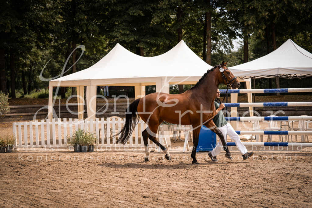 2. Fr00082 | Leoni Ertmer Photography - Realisiert mit Pictrs.com