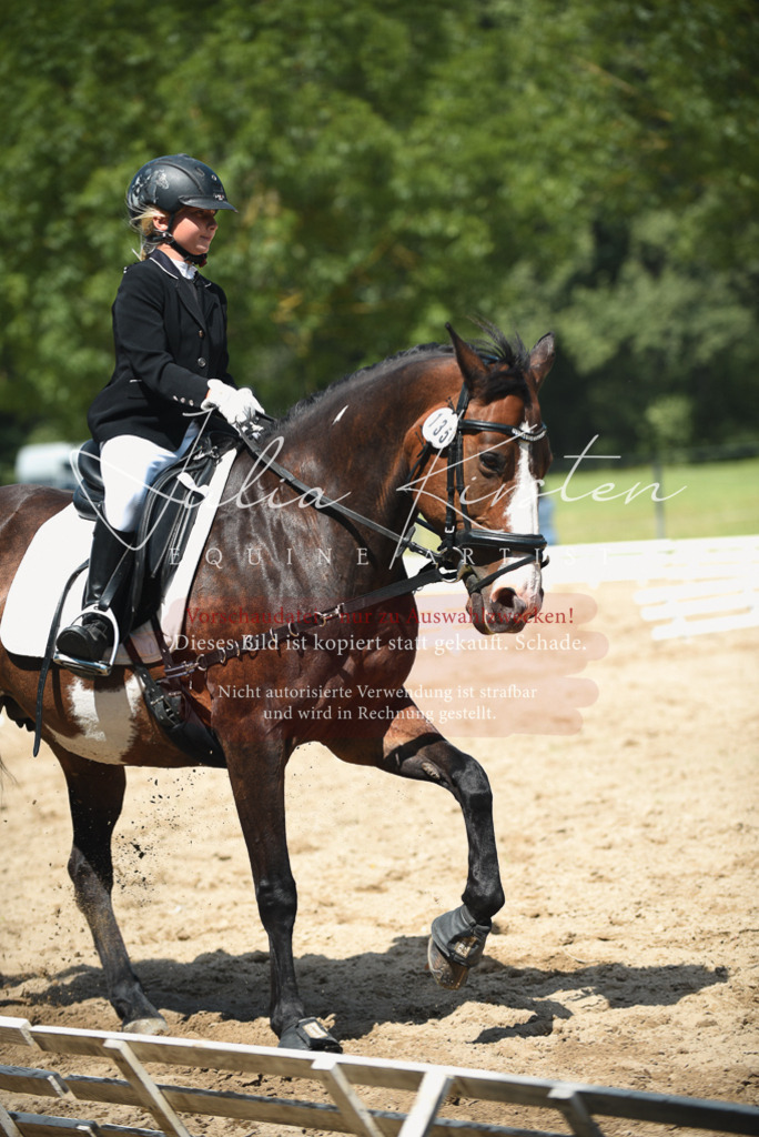 DSC_2447 | Pferde- und Turnierfotografie in Westsachsen. Pferdeportraits, Auftragszeichnungen und intuitive Kunst.