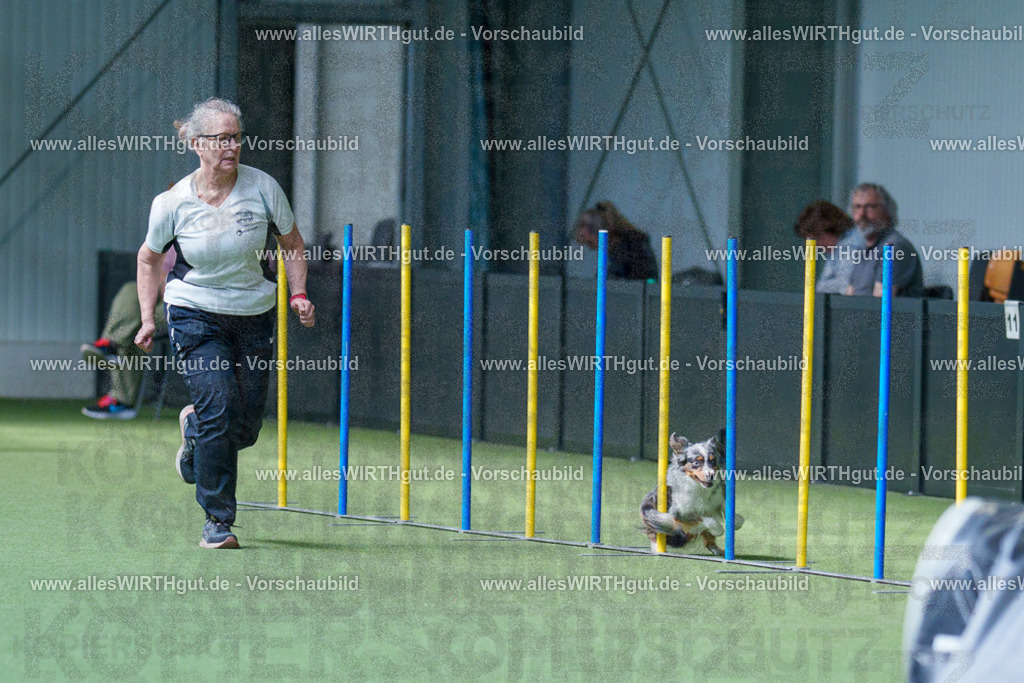 @allesWIRTHgut_Tierfotografie - www.allesWIRTHgut.de - 2604251443-7R505388 | Professionelle Tierfotografie in Mönchengladbach von Daniel Wirth (allesWIRTHgut). Liebevolle & natürliche Bilder von Hunden & Katzen für unvergessliche Erinnerungen.