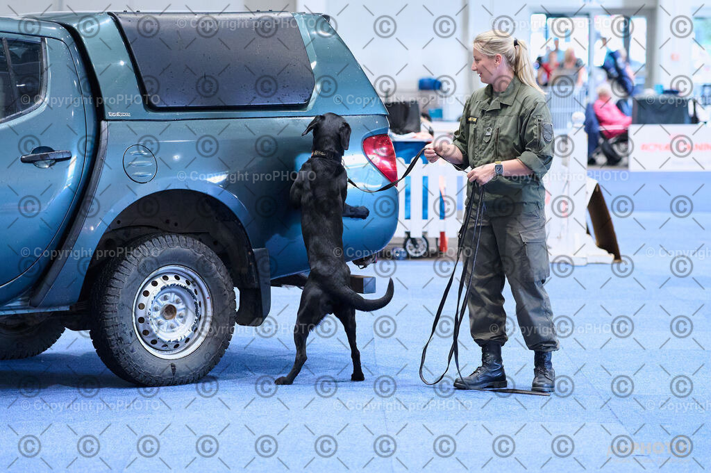 202406_ÖKV-IHA-Tulln24_DSC_2756 | proPHOTO - Realisiert mit Pictrs.com