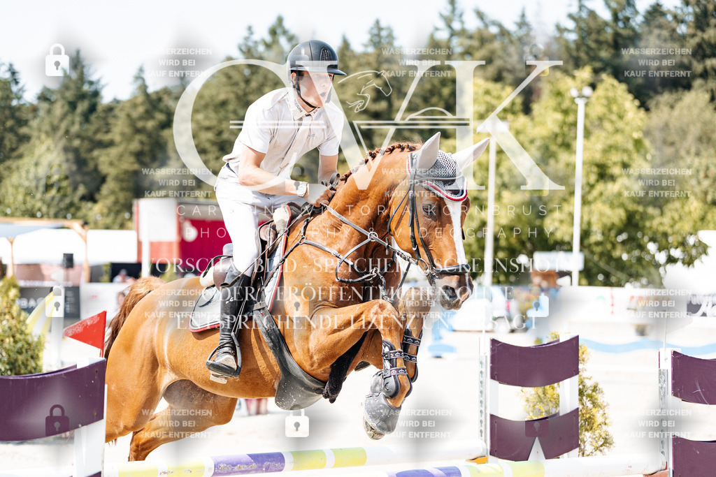 CK901474 | Turnierfotografie Pferdefotografie Trier Rheinland-Pfalz Pferdesport Reitsport Tierfotografie Sportfotografie Pferdevideo Pferdevideografie Equestrianvideography equestrianphotography  - Realisiert mit Pictrs.com