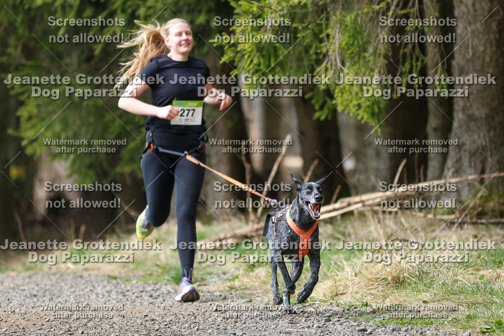 Dog Paparazzi - VCC26-414 | Dog Paparazzi Jeanette Grottendiek Fotografie & Videografie - Realisiert mit Pictrs.com