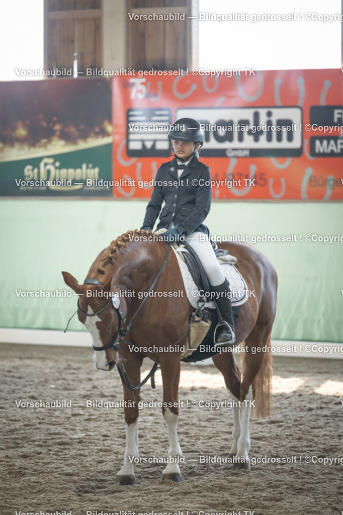 _D5A8886 | Emotionale Pferde- & People-Fotografie rund um Heidelberg, Leimen & Umgebung. Natürliche Fotos von Pferd, Mensch & Familie. Jetzt Termin sichern!