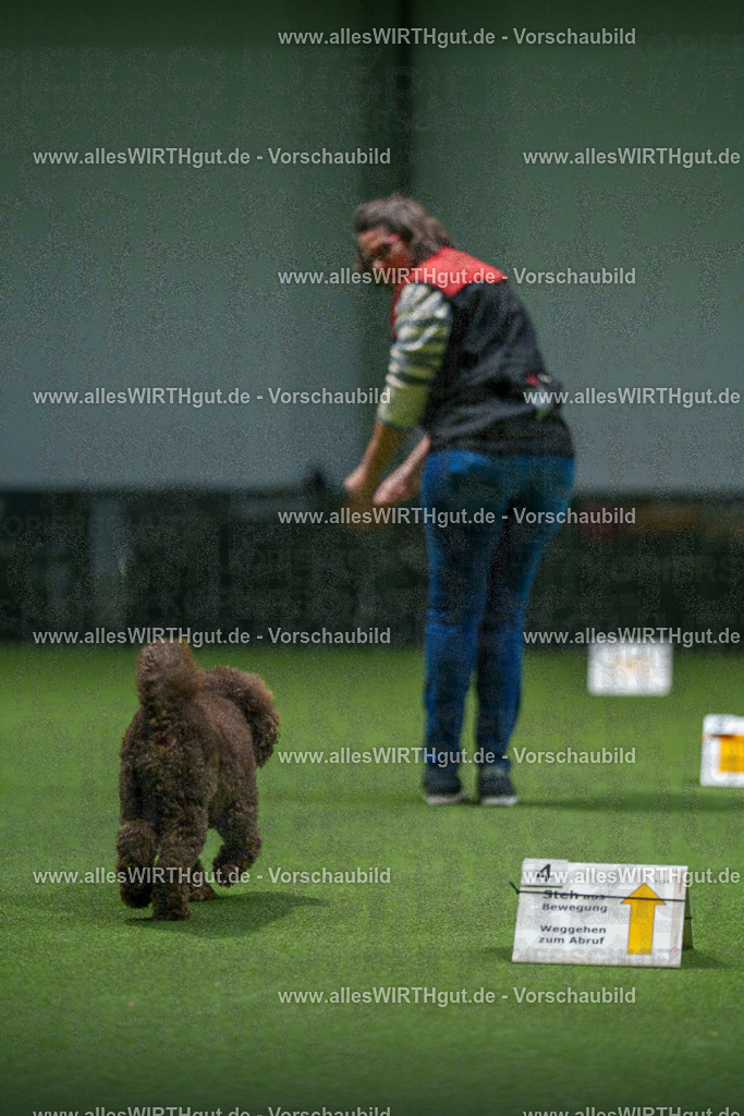 7R508340 | Professionelle Tierfotografie in Mönchengladbach von Daniel Wirth (allesWIRTHgut). Liebevolle & natürliche Bilder von Hunden & Katzen für unvergessliche Erinnerungen.