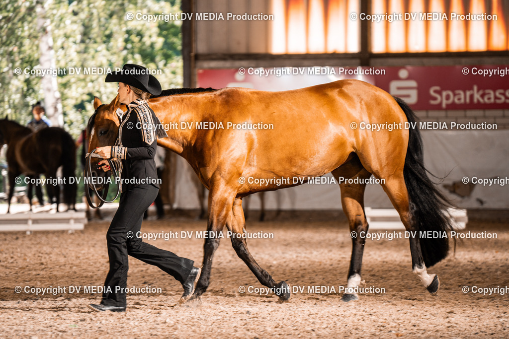 ZH100048 | dv-media-shop - Realisiert mit Pictrs.com