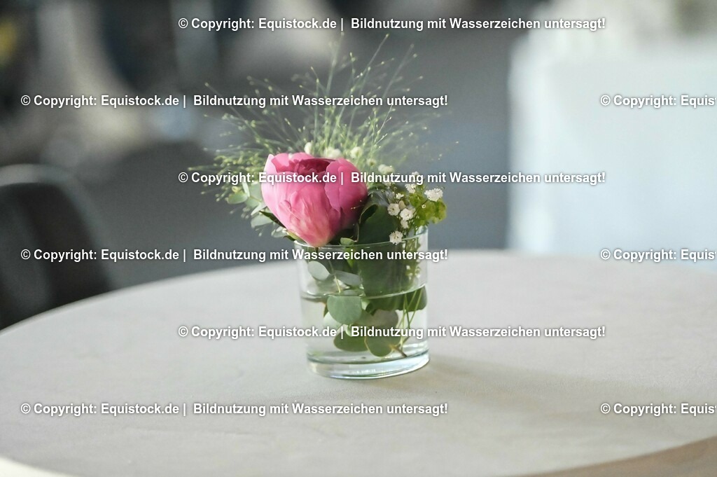 D78_3327 | equistock