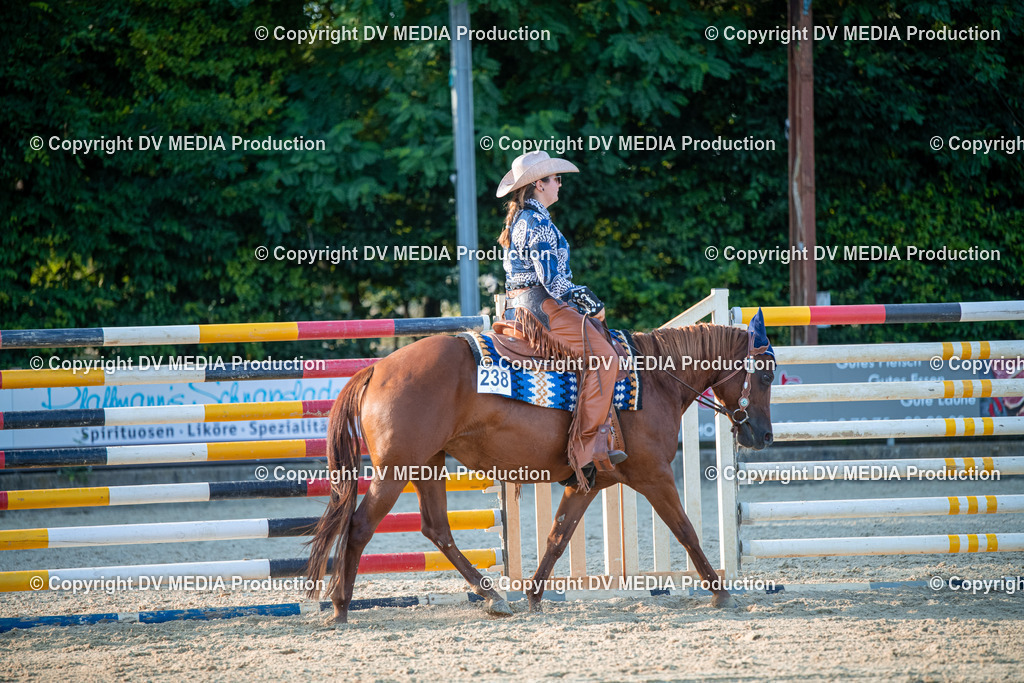 EWP_7206 | dv-media-shop - Realisiert mit Pictrs.com