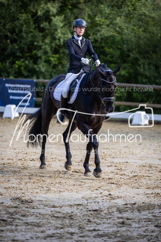 Donop24-A-Dre-070 | MomenTaufnahmen Pferdesportfotos