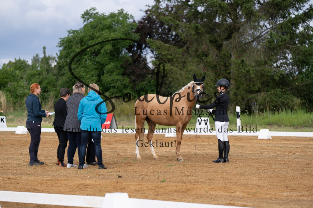 A7V03824 | Pferdefotograf