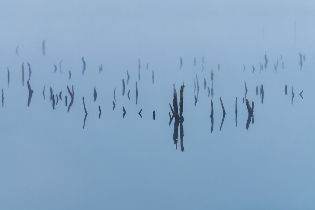 2024_10_04_HIMMELMOOR-NEBEL_MCP7331 | Hochwertig gedruckte Fotografien für die Wand, als Kalender und zum Verschenken. Hamburg & Norddeutschland und überall wo ich mit der Kamera unterwegs war.