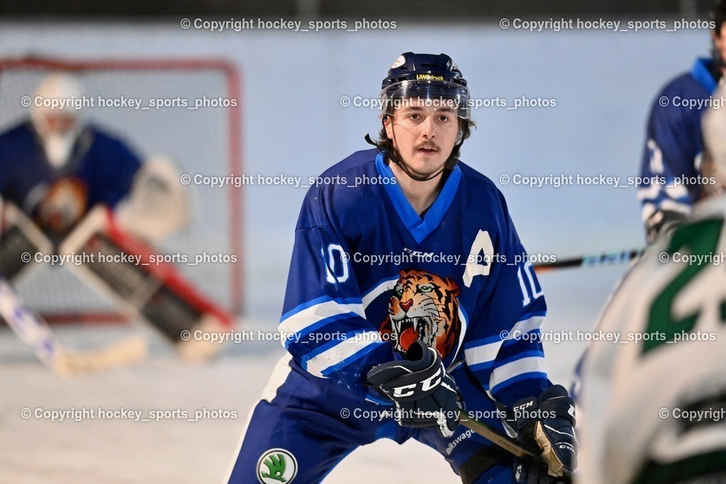 EC Ice Tigers Paternion vs. DSG Ledenitzen Faakersee 14.1.2024 | #10 Ortner Philipp
