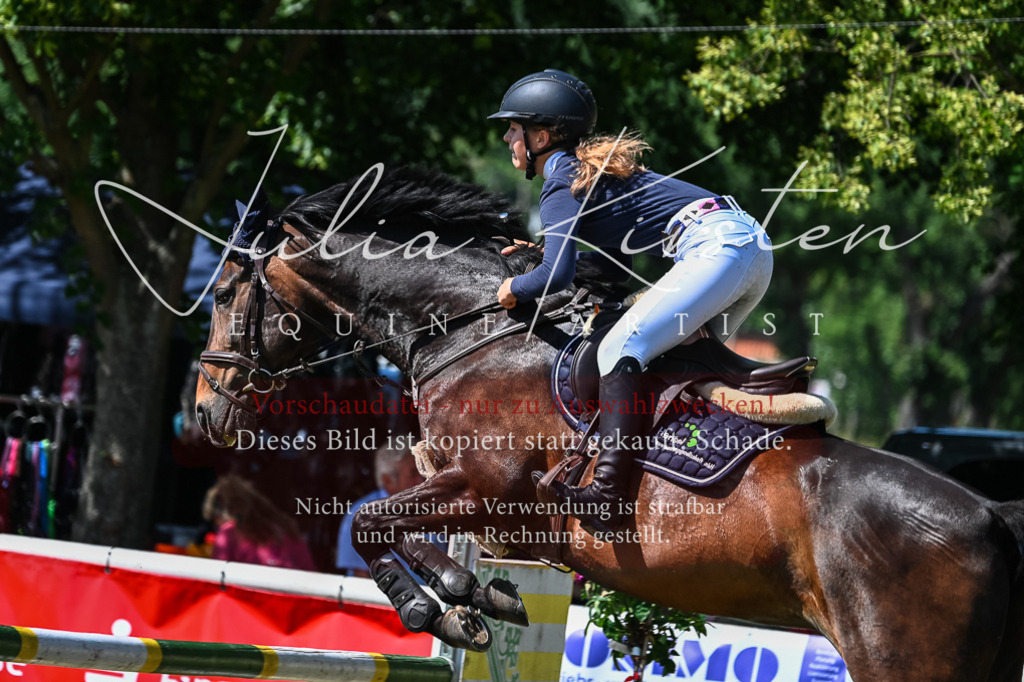 DSC_1307 | Pferde- und Turnierfotografie in Westsachsen. Pferdeportraits, Auftragszeichnungen und intuitive Kunst.
