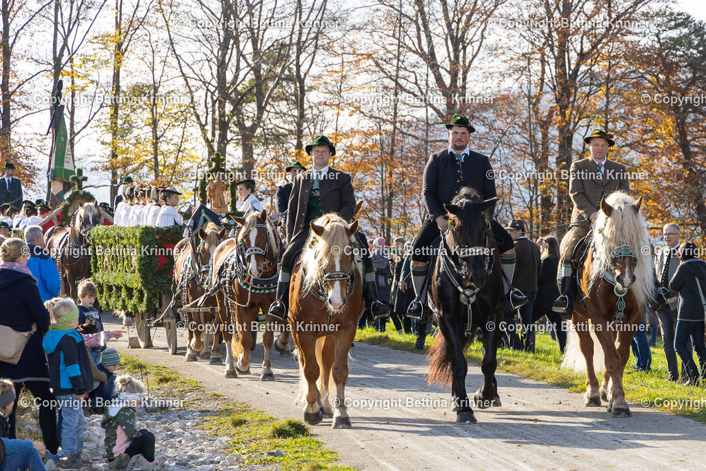 LBT24-1213 | foto-bettina-krinner - Realisiert mit Pictrs.com
