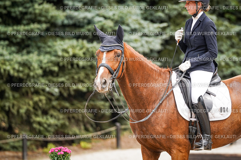 DSC04816 | Pferdegrafie