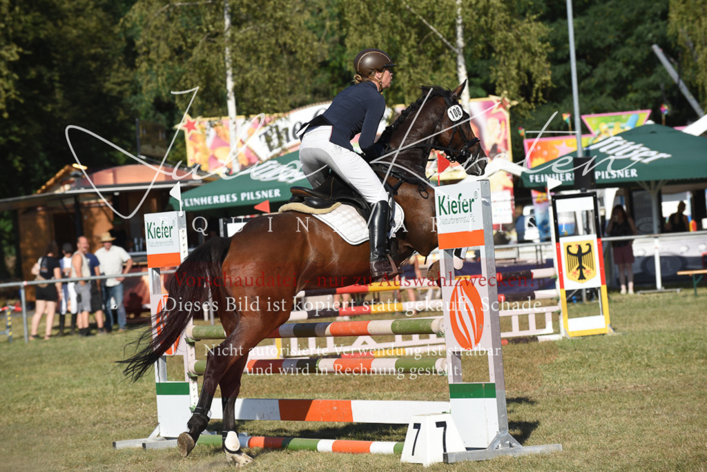 DSC_5287 | Pferde- und Turnierfotografie in Westsachsen. Pferdeportraits, Auftragszeichnungen und intuitive Kunst.