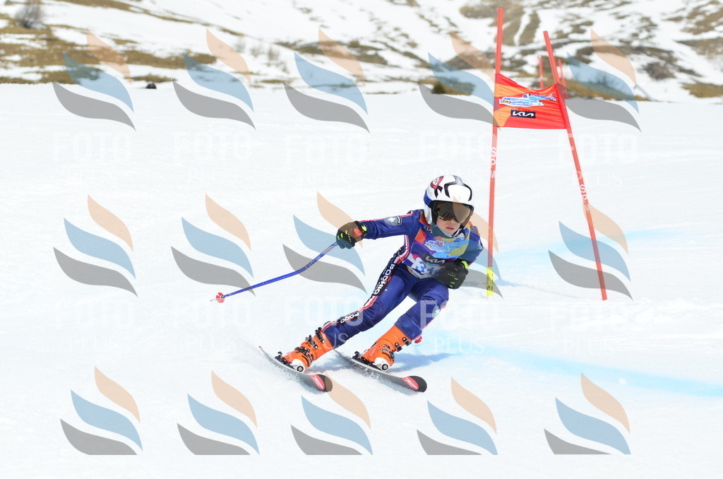 _ELE2368 | holidayphoto