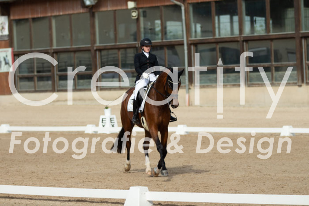 IMG_0937 | Creatify Fotografie