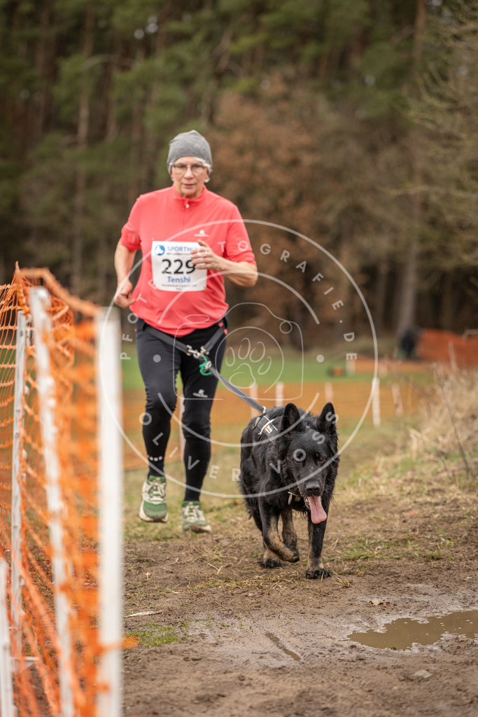 DV3A3060 | Hundefotografie, Tierfotograf, Pfotenfotografie, Fotoshooting Hund, Hunde Portrait, Hundesport, Hundeportraits, Heideshooting, Hunde, Sportfotograf, Hundefotograf, Turnierhundsport, THS,  - Realisiert mit Pictrs.com