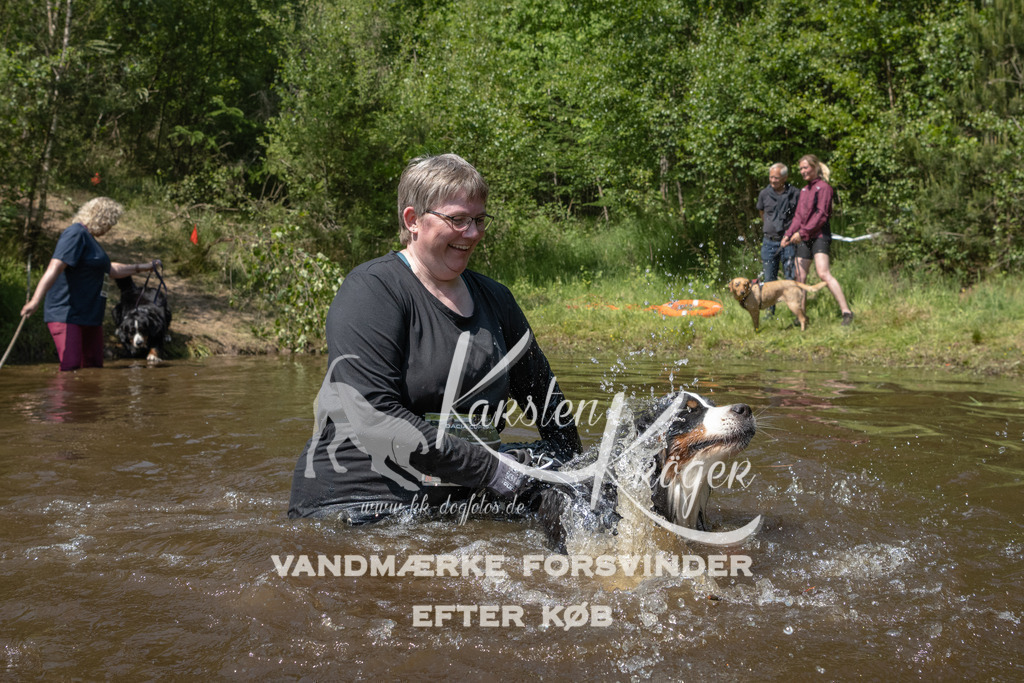 1425DKK990356 | kk-dogfotos