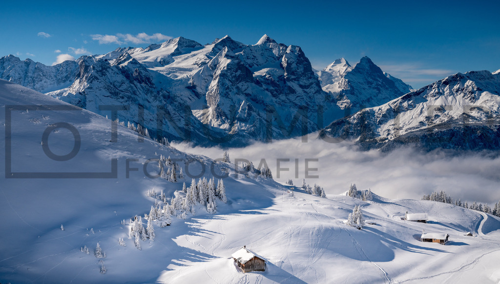 DSC08015 | Tinu Müller Fotografie- Bildershop - Realisiert mit Pictrs.com