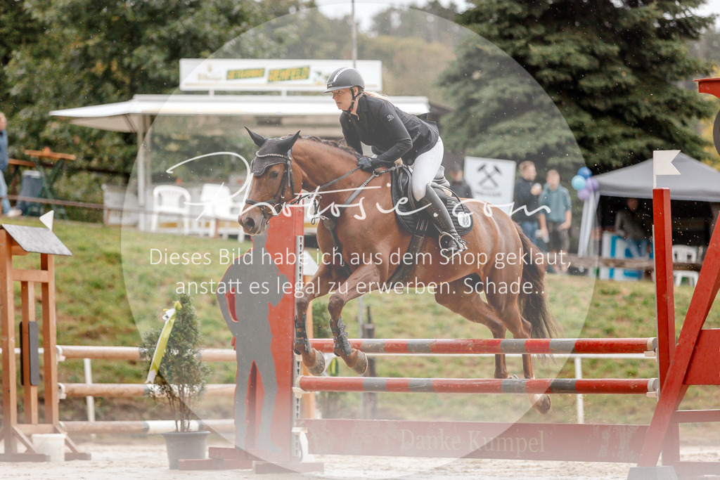 3I6A5733 | Stimmungsvolle Portraits und Reitsportfotografie im Ruhrgebiet und im Münsterland.

Pferdefotografie, Hundefotografie, Tierfotografie, Reportagen, Portraits von Tier und Mensch, Turnierfotografie in Bochum, Recklinghausen, Marl, Haltern am See, Dülmen.. - Realisiert mit Pictrs.com