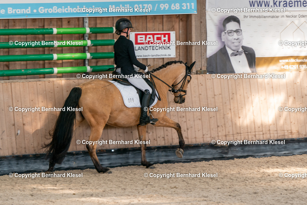 2A900420 | foto-team-bernhard - Realisiert mit Pictrs.com