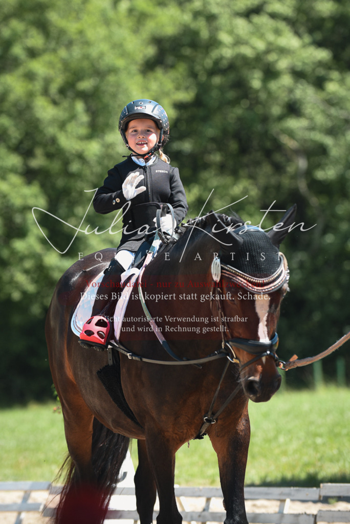DSC_2141 | Pferde- und Turnierfotografie in Westsachsen. Pferdeportraits, Auftragszeichnungen und intuitive Kunst.