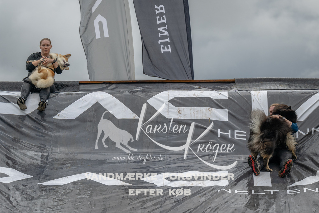 1551_ZZ91061 | kk-dogfotos