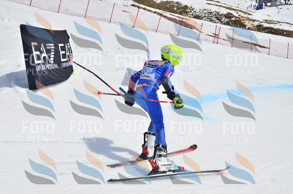 _ELE1939 | holidayphoto