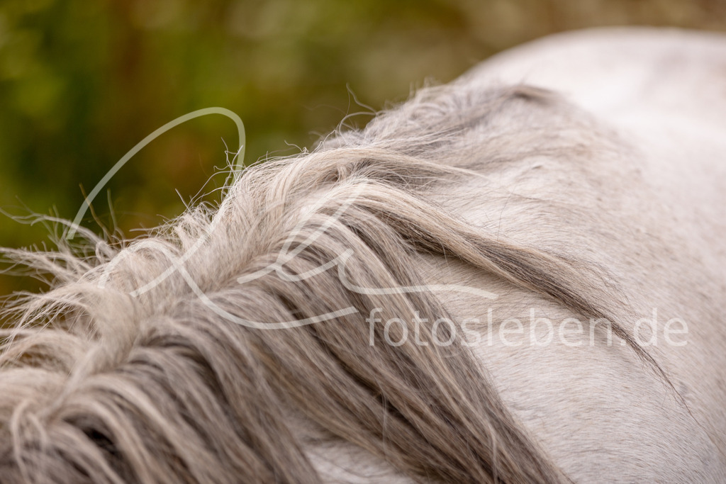 846A0733 | fotosleben - Realisiert mit Pictrs.com