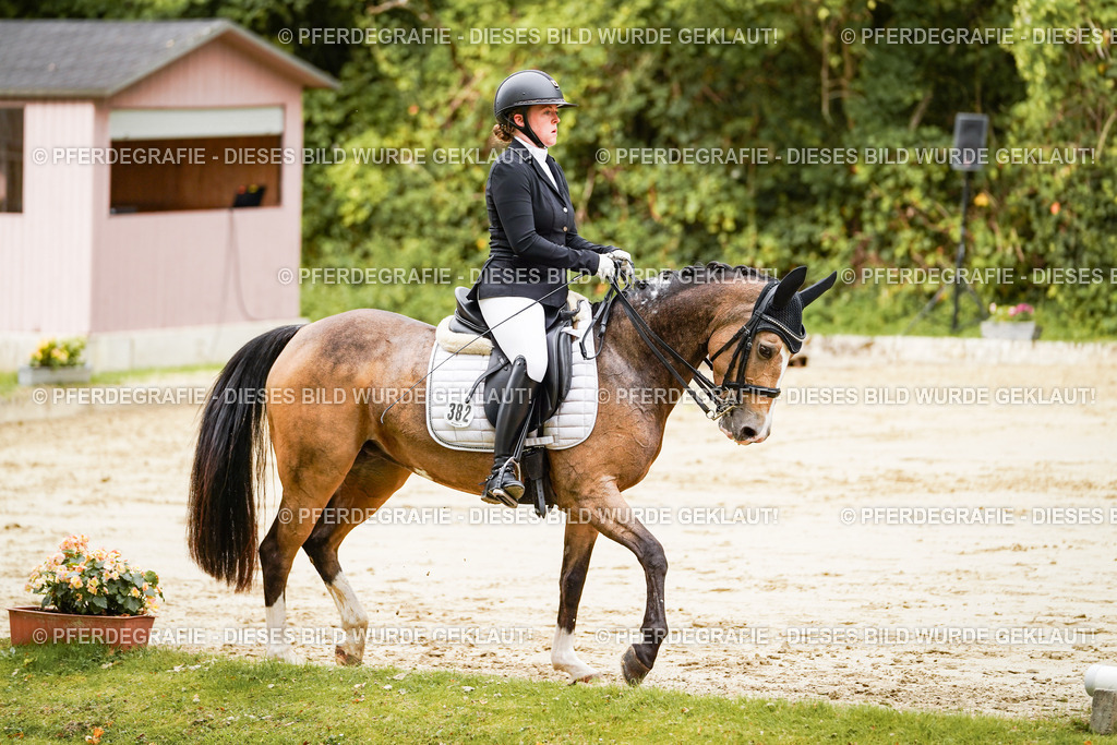 DSC02599 | Pferdegrafie