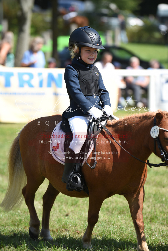 DSC_9835 | Pferde- und Turnierfotografie in Westsachsen. Pferdeportraits, Auftragszeichnungen und intuitive Kunst.