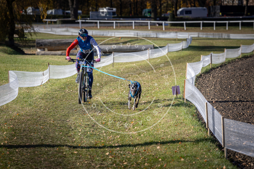 CaniXpix_DV3A6146 | Hundefotografie, Tierfotograf, Pfotenfotografie, Fotoshooting Hund, Hunde Portrait, Hundesport, Hundeportraits, Heideshooting, Hunde, Sportfotograf, Hundefotograf, Turnierhundsport, THS,  - Realisiert mit Pictrs.com