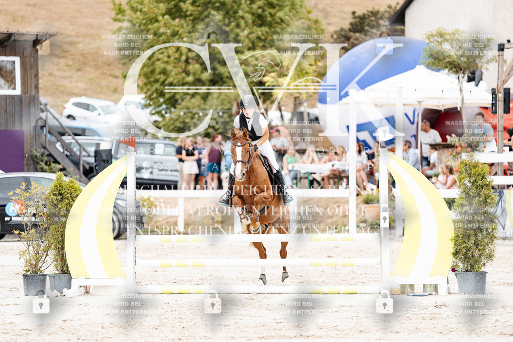 CK908217 | Turnierfotografie Pferdefotografie Trier Rheinland-Pfalz Pferdesport Reitsport Tierfotografie Sportfotografie Pferdevideo Pferdevideografie Equestrianvideography equestrianphotography  - Realisiert mit Pictrs.com