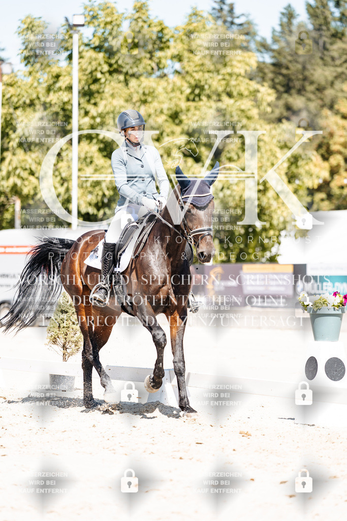 CK900175 | Turnierfotografie Pferdefotografie Trier Rheinland-Pfalz Pferdesport Reitsport Tierfotografie Sportfotografie Pferdevideo Pferdevideografie Equestrianvideography equestrianphotography  - Realisiert mit Pictrs.com