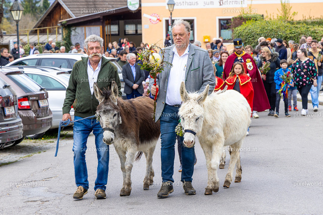Palmweihe in Glanhofen | Bildershop von pixelworld.at - Realisiert mit Pictrs.com