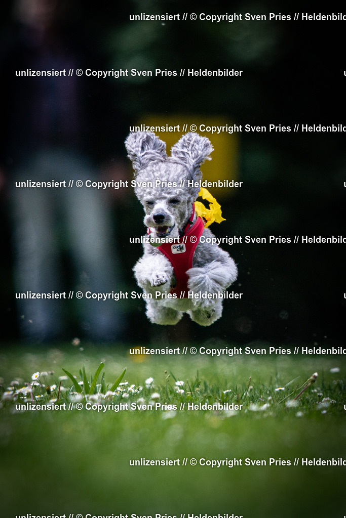 Sven Pries | 2025-05-29 - Pudelrennen KA-Durlach - Realisiert mit Pictrs.com