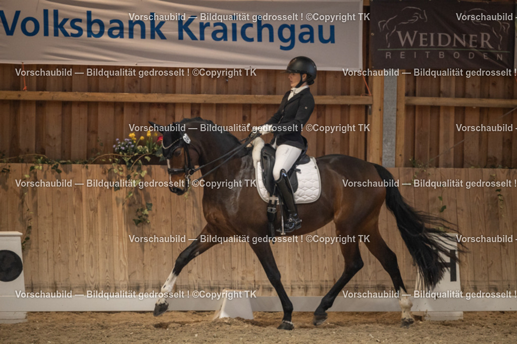 _D5A6665 | Emotionale Pferde- & People-Fotografie rund um Heidelberg, Leimen & Umgebung. Natürliche Fotos von Pferd, Mensch & Familie. Jetzt Termin sichern!