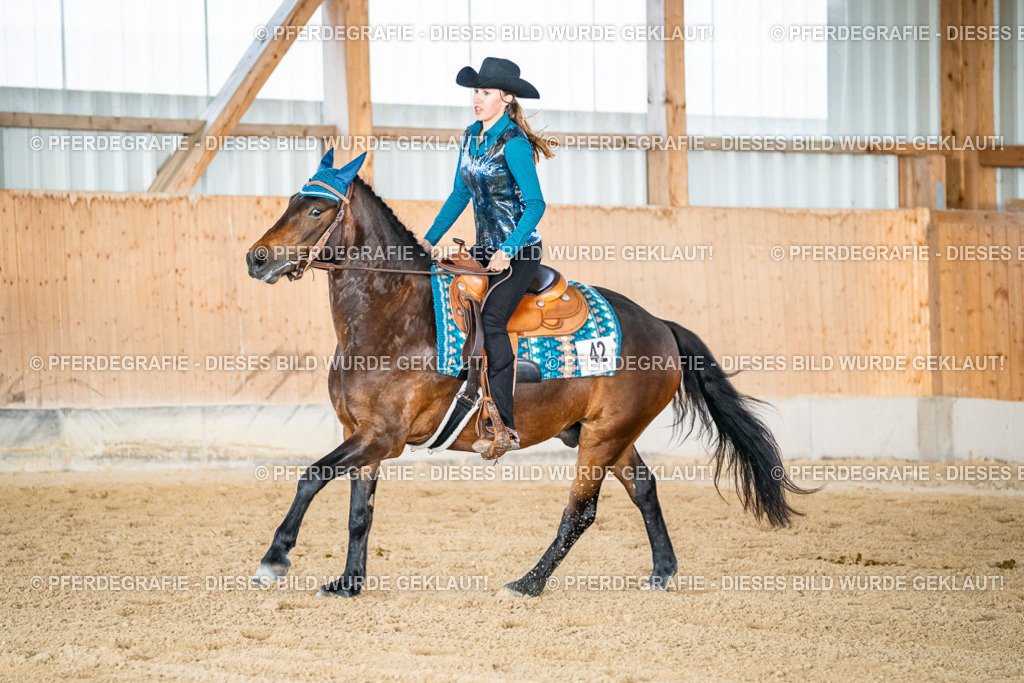 DSC08649 | Pferdegrafie